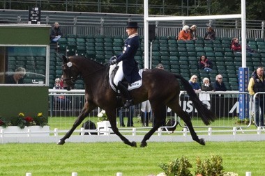 Michael Jung operado ap&oacute;s fractura de t&iacute;bia