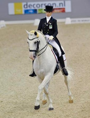 Morreu o garanhão Lusitano «Samba» (VÍDEO)