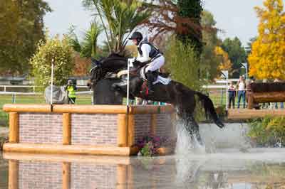 FEI Classics™: Michael Jung has another perfect day