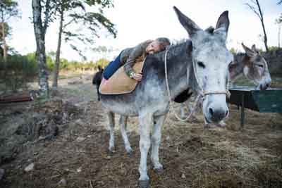 Nova “Reserva de Burros” em Sintra com atividades para crianças e adultos