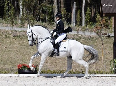 Rio de Janeiro: Campeonato de Cavalos Novos de Dressage