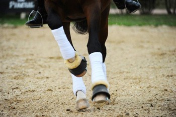 FEI to review Dressage training methods following stakeholder meeting at FEI HQ