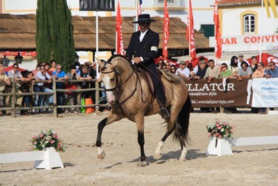 Goleg&atilde;: Coudelarias mostram os melhores exemplares criados