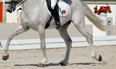 Dressage: Dois erros igual a desclassifica&ccedil;&atilde;o