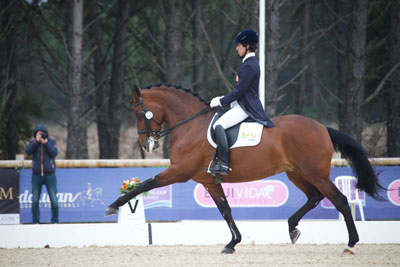 Gonçalo Carvalho a caminho da Taça do Mundo de Dressage em Estugarda