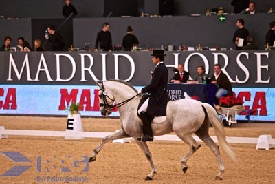 CDI3* Madrid: Manuel Borba Veiga supera 70% no G.P. Freestyle