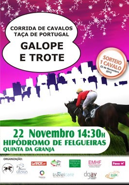 Felgueiras recebe a Taça de Portugal de Galope e Trote Atrelado