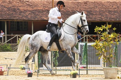 Brasil: Campeões do Campeonato de Equitação de Trabalho 2015