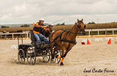 Goleg&atilde;: Vencedores do Campeonato Nacional de Derby’s