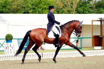 CDI4* Lier: Lu&iacute;s Principe a caminho da B&eacute;lgica