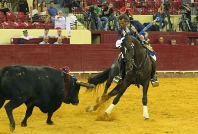 A.P.S.L. procura melhores cavalos lusitanos de toureio em 2015