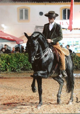 Ortig&atilde;o Costa aposta forte na funcionalidade
