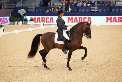 CDI3* Madrid: Espanh&oacute;is dominaram o Grande Pr&eacute;mio; Manuel Borba Veiga em quinto lugar (V&Iacute;DEO)
