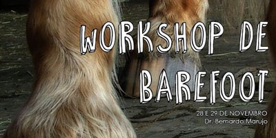 Évora: Workshop Podologia Equina