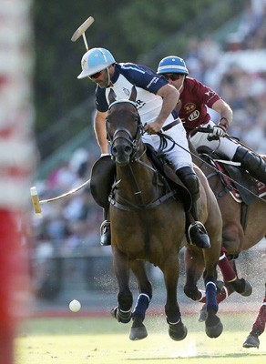 Argentine Polo Horse Breeders Association Honors "Chocolate"