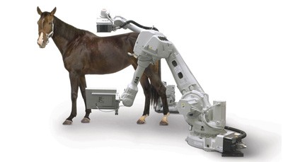Dificuldades em fazer scanners de corpo inteiro a cavalos? Este robot dá uma ajuda