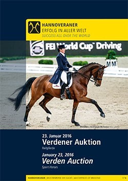 110 Riding Horses to Kick Off New Auction Year (VIDEO)