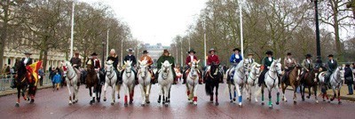 Iberian horses parading the streets of London on New Year’s Day