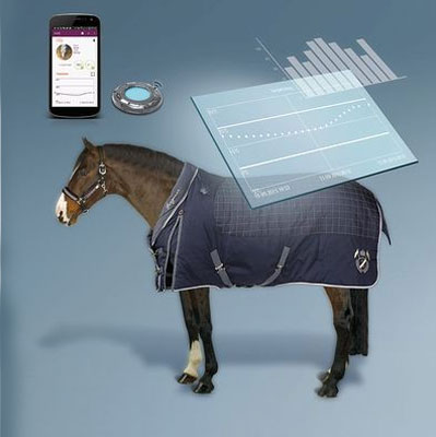 Cobrejão Estábulo Stable 400 Conectado (VÍDEO)