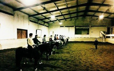 Açores: Estágio de sucesso na Associação Equestre Micaelense