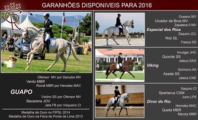 &Eacute;poca de Reprodu&ccedil;&atilde;o 2016: Coudelaria Casal dos Rios