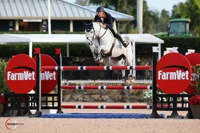 Peter Wylde takes the first win at the Winter Equestrian Festival