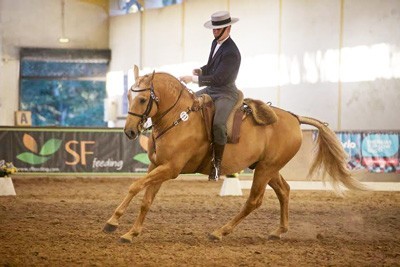 Resultados: I&ordf; Jornada do Campeonato Nacional de Equita&ccedil;&atilde;o de Trabalho 2016