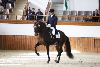 CDI3* Jerez de La Frontera: Fim-de-semana recheado de emoções fortes em Espanha