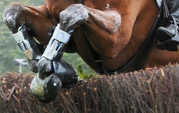 FEP organiza Curso Nacional de Juízes, Delegados Técnicos, Chefes de Pista e Comissários de CCE