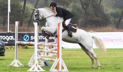 Cavalo Lusitano salto obstáculos 