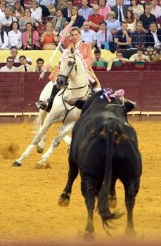 Os melhores cavalos de Toureio em 2016: «Xarope» «Dardo» e «Trovador»