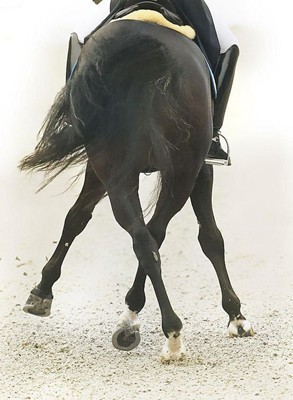 FEP: Regulamento Nacional de Ensino – Alterações - 17 de Março