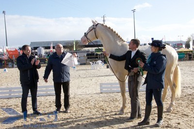 &laquo;Imperador das Arcas&raquo; Campe&atilde;o dos Campe&otilde;es na Feira Anual da Trofa 2016
