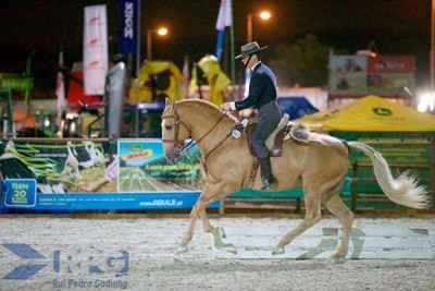 Resultados: 2ª Jornada do Campeonato Nacional de Equitação de Trabalho 2016 - Trofa