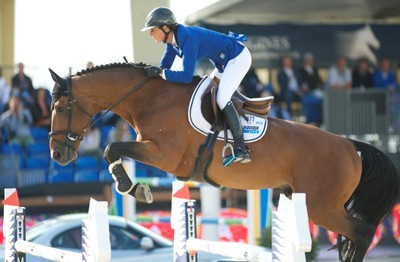 Studbook KWPN: Emerald e Vagabond de La Pomme aprovados (V&Iacute;DEO)