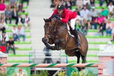 «Conrad de Hus» de Gregory Wathelet vendido para os Estados Unidos (VÍDEO)