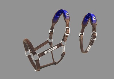 Cabeção permite monitorização de cavalos à distância