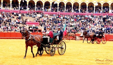 CIAT: Vasco Lima brilha em Sevilha