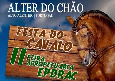 Alter do Chão: Festa do Cavalo anima vila alentejana durante quatro dias