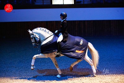 &laquo;Biso das Lez&iacute;rias&raquo; garanh&atilde;o recomendado (****)