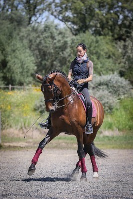 Partnership between Alter Real Stud and Christine Jacoberger