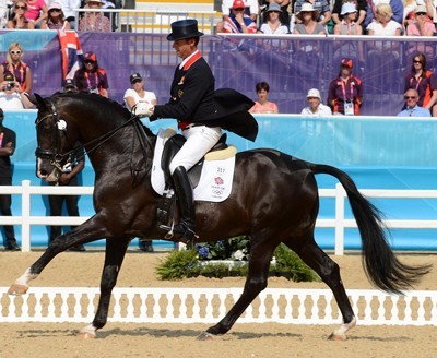 Final infeliz para Carl Hester: Uthopia vai ser leiloado (VÍDEO)