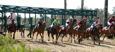Início do Campeonato Nacional de Corridas de Cavalos