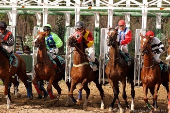 Ponte de Lima “na corrida” por hipódromo para reforçar destino equestre