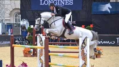 Holanda: Garanh&otilde;es &laquo;VDL&raquo; destacam-se no campeonato