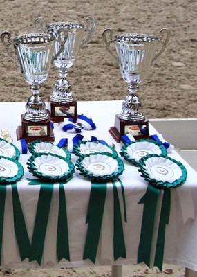 Sugestões para o fim-de-semana