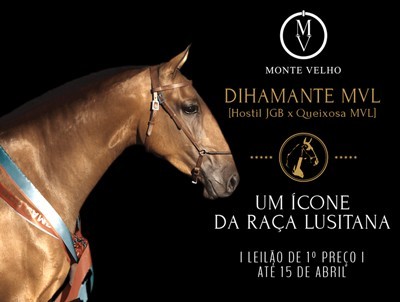 Leil&atilde;o da Dihamante MVL termina j&aacute; esta 6&ordf;feira