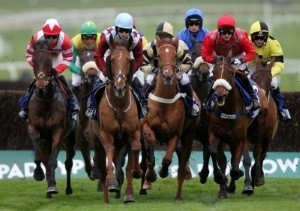 Corridas de Cavalos em directo na Bola TV