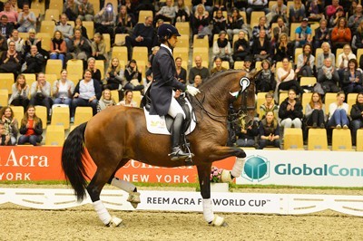 Gon&ccedil;alo Carvalho sobe a 43&ordm; no "ranking" mundial de Dressage