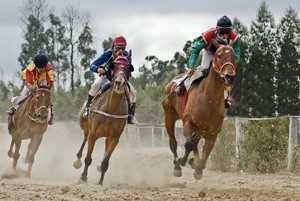 54 Equinos participam domingo no Hipódromo da Maia!